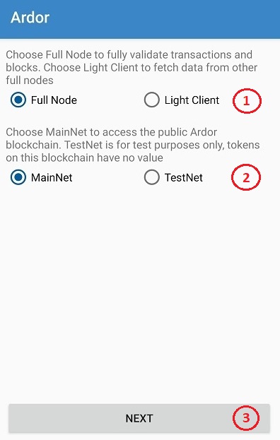 Before the server is started